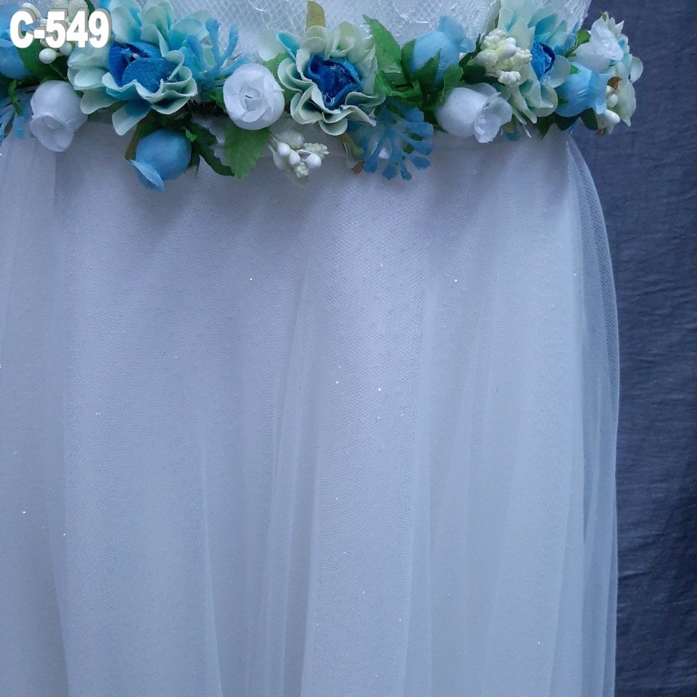C549 (3)
